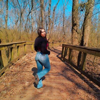 Golden Wildflower Photography