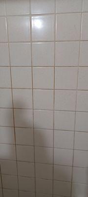 Brooks cleaning services