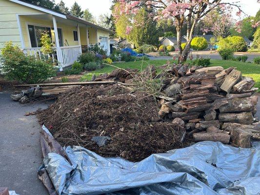 Quality Performance Tree Service