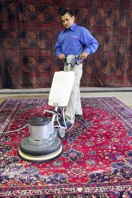 Hadeed Carpet Cleaning