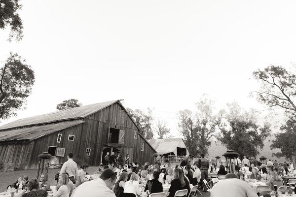 Valerie Speir Events