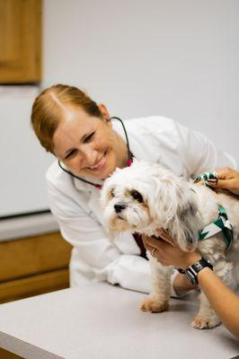 Conover Veterinary Hospital