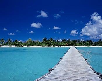 Bernadette Mulvenna, MA LMFT