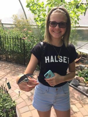 Brenda's Butterfly Habitat