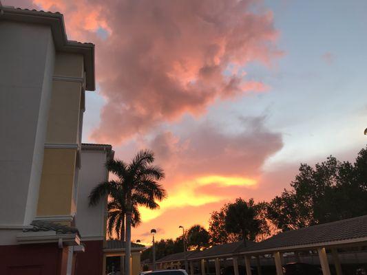 Gulf Coast Web Works