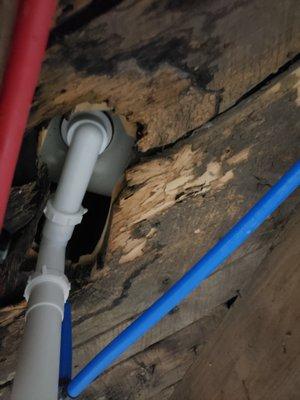 when we first moved in