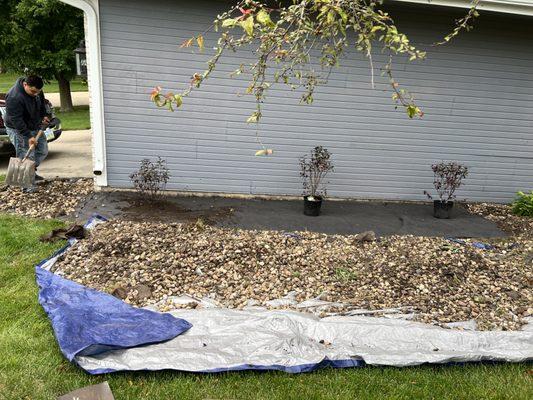 Francisco Landscapes