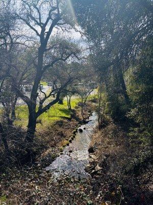 Beautiful creek running alongside property