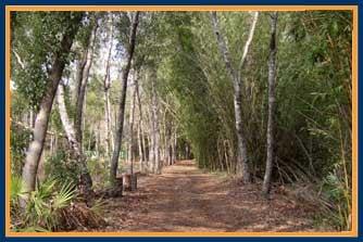 Stroll down the nature trail wearing only flip flops and a smile.