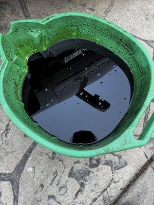 The oil I drained from my truck that they supposedly "changed". Pitch black and super thin.