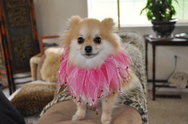 Green Star Construction