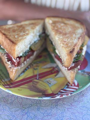 Turkey and the Wolf Ice House