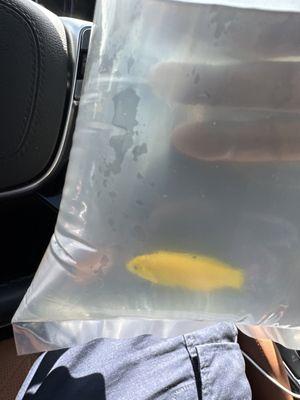 Ocean View Aquariums