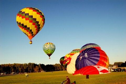 Hale Area Association