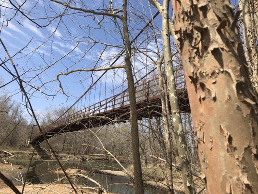 Swinging Bridges of Brumley County