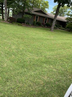 This photo is a yard that we cut and we layed mulch