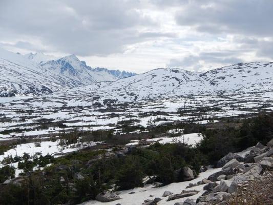 Alaska Green Jeep Tours