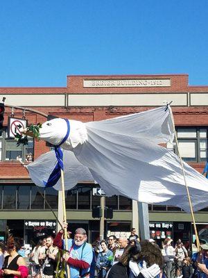 The Procession of the Species