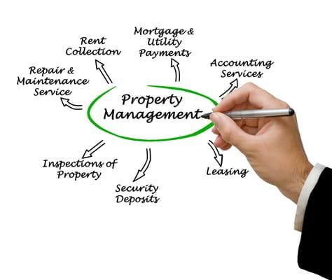 Management Specialists