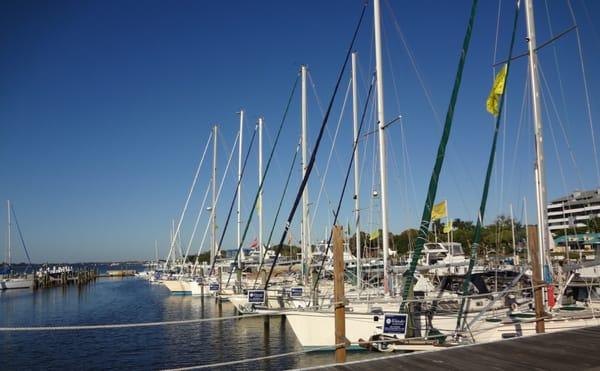 Whiteaker Yacht Sales