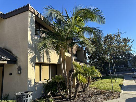 Pure View Window Cleaning