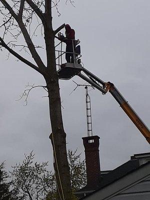 Bob's Tree Service And Stump Grinding
