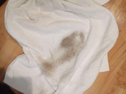 Only one step the floor walls and ceiling were like this. Cobwebs. This is one step only.