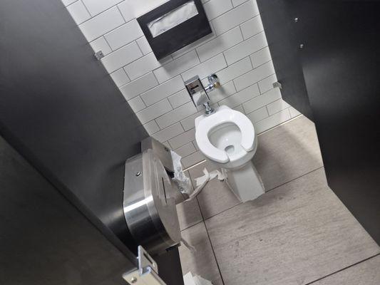 The only reason this one is semi clean is I took the pic after I had to clean it in order for me to use it, toliet paper scattered about