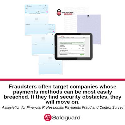 Safeguard Business Systems