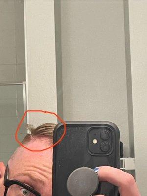What is this 2" of hair just randomly sticking out? First time using scissors?