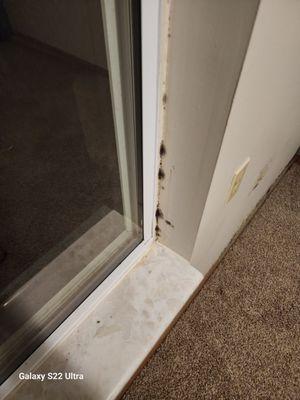 Bristol Gardens Apartments