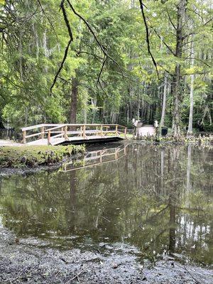 Sunny Skies Maintenance