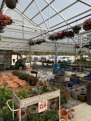 Taracotta Garden Outlet