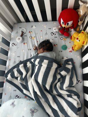 Allan’s Painting Solution