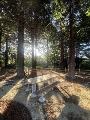 John L Carter Memorial Park