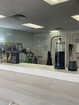 The Prancing Puppy Pet Salon