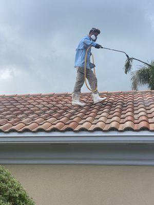 Peacock Window Cleaning & Pressure Cleaning