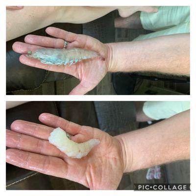 Beautiful jumbo pink gulf shrimp before and after cleaning