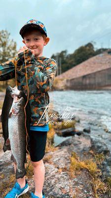 Lower mountain Fork River Rainbow trout limit