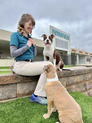Our experienced trainers utilize positive reinforcement techniques to address behavior challenges, obedience, and specialized skills.