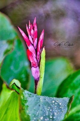Square 1 Shooting Range and Outdoor Venue