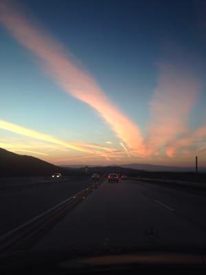 The Buzz Stop Barber Shop