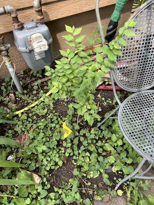 T&J Outdoor Services