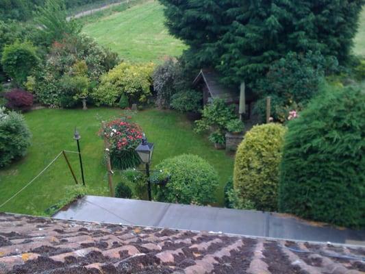 The English Gardener