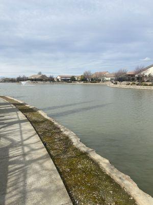 Swainson’s Hawk Park