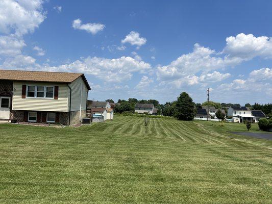 Linares Landscaping Services