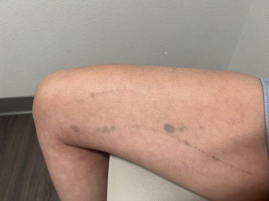 Schu-Fu Martial Arts