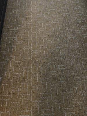 Stain carpet