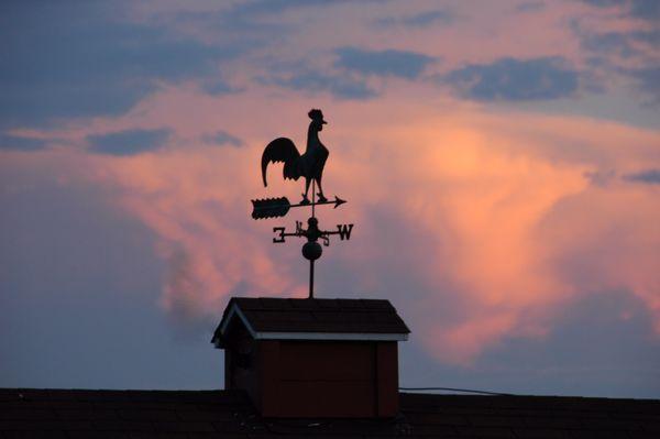 The Weathervane and our friend the Roostet