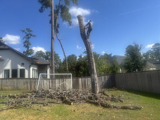 Blewz Pressure Washing And Landscape Specialists